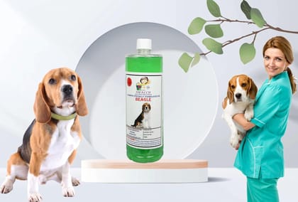 Swacch Shampoo Specially Formulated for Beagle (1 Litre) Neem Alovera