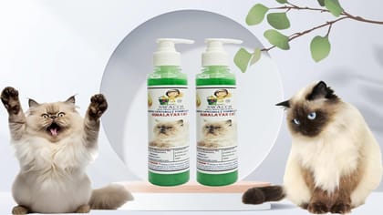 SWACCH Premium Shampoo for Himalayan CAT (200ML) (Pack of 2) NEEM ALOVERA