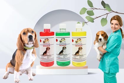 SWACCH Shampoo Specially FORMULATED for Beagle (500ML) (Combo Pack of 3) Jasmine, NEEM ALOVERA, Lemon