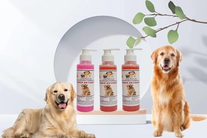 SWACCH Premium Shampoo for Golden Retriever (200ML)(Combo Pack of 3) Rose, Jasmine & Strawberry
