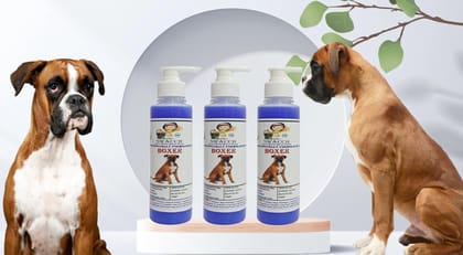 SWACCH Premium Shampoo for Boxer (200ML) (Pack of 3) Lavender