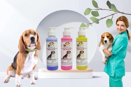 SWACCH Premium Shampoo for Beagle (200ML)(Combo Pack of 3) Lavender, Rose & Lemon