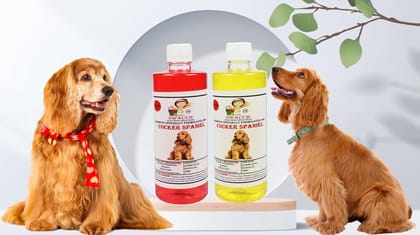 SWACCH Shampoo Specially FORMULATED for Cocker Spaniel (500ML) (Combo Pack of 2) Jasmine & Lemon