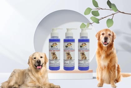 SWACCH Premium Shampoo for Golden Retriever (200ML) (Pack of 3) Lavender
