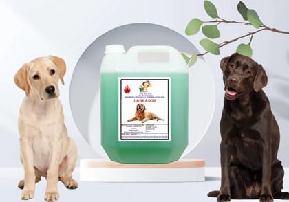 SWACCH Shampoo Specially FORMULATED for Labrador (10 Litre) NEEM ALOVERA