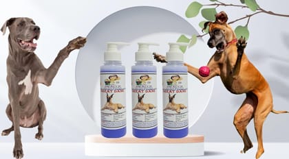 SWACCH Premium Shampoo for Great DANE (200ML) (Pack of 3) Lavender
