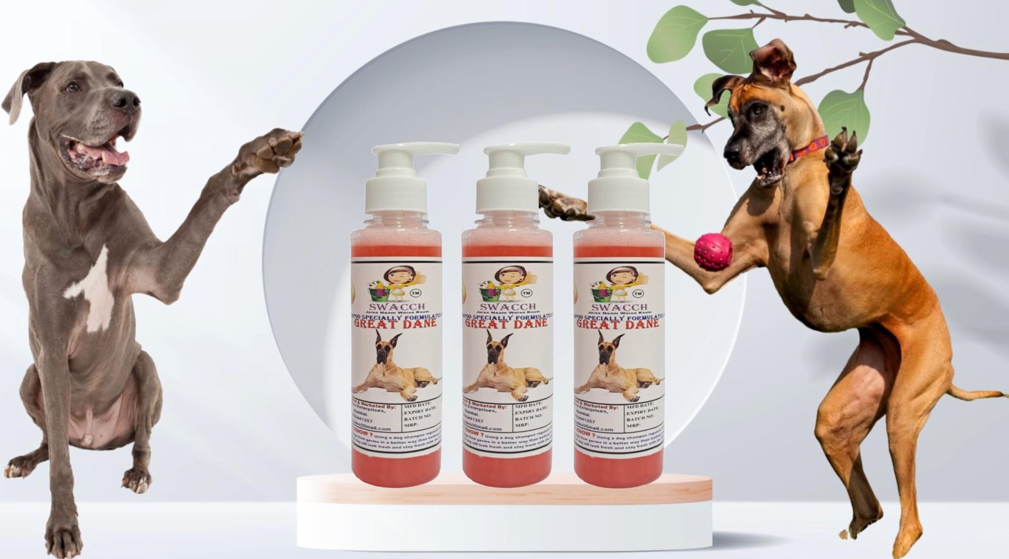 SWACCH Premium Shampoo for Great DANE (200ML) (Pack of 3) Strawberry