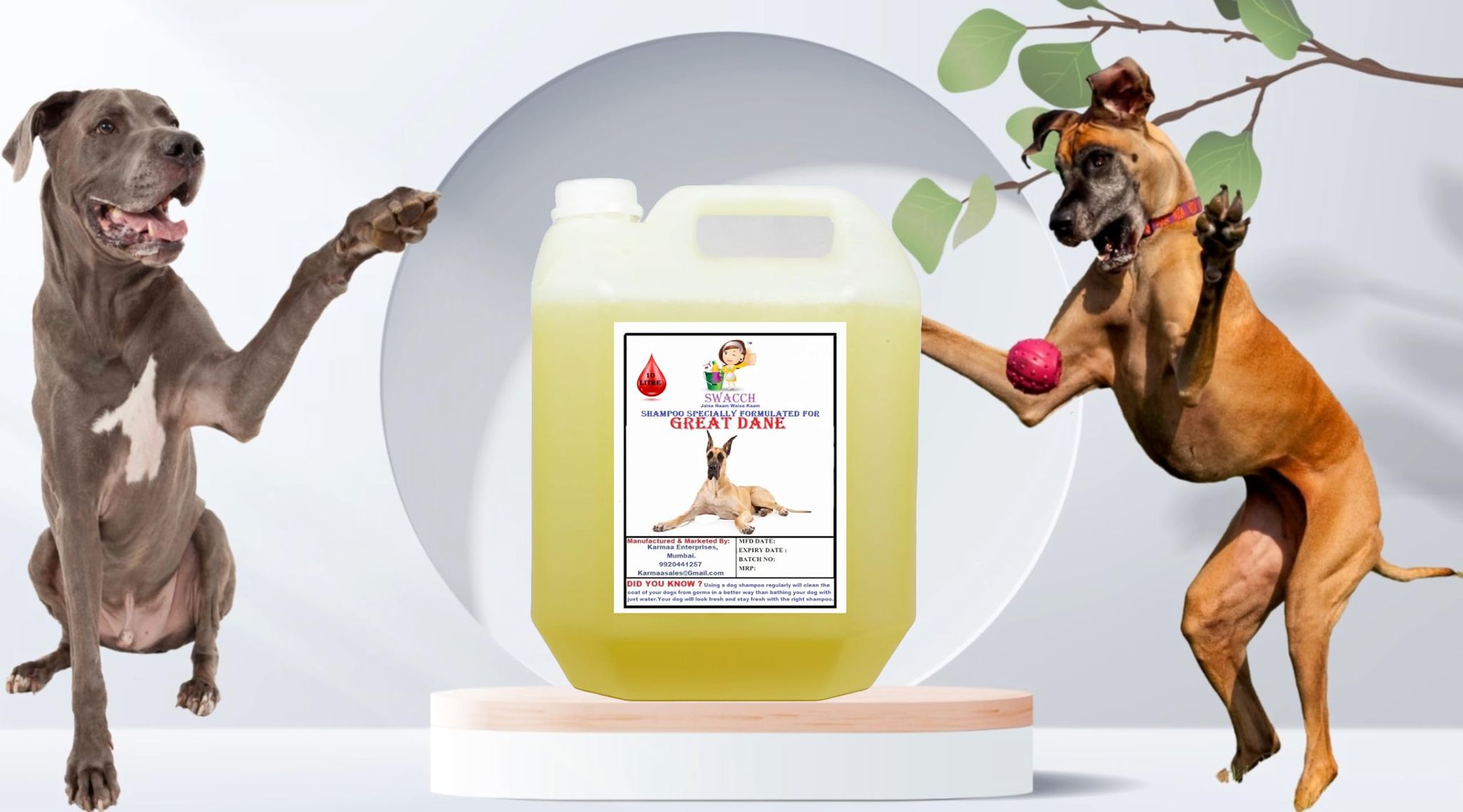 Swacch Shampoo Specially Formulated for Great DANE (10 Litre) Lemon
