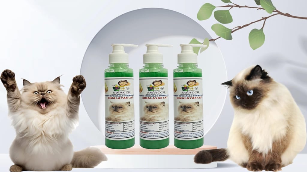 SWACCH Premium Shampoo for Himalayan CAT (200ML) (Pack of 3) NEEM ALOVERA