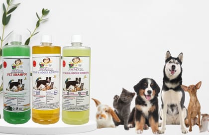 Swacch Shampoo (Neem Alovera) + Deodorizer (Lemon) + Stain Remover (Lemon) (1 Litre) (Combo Pack of 3)