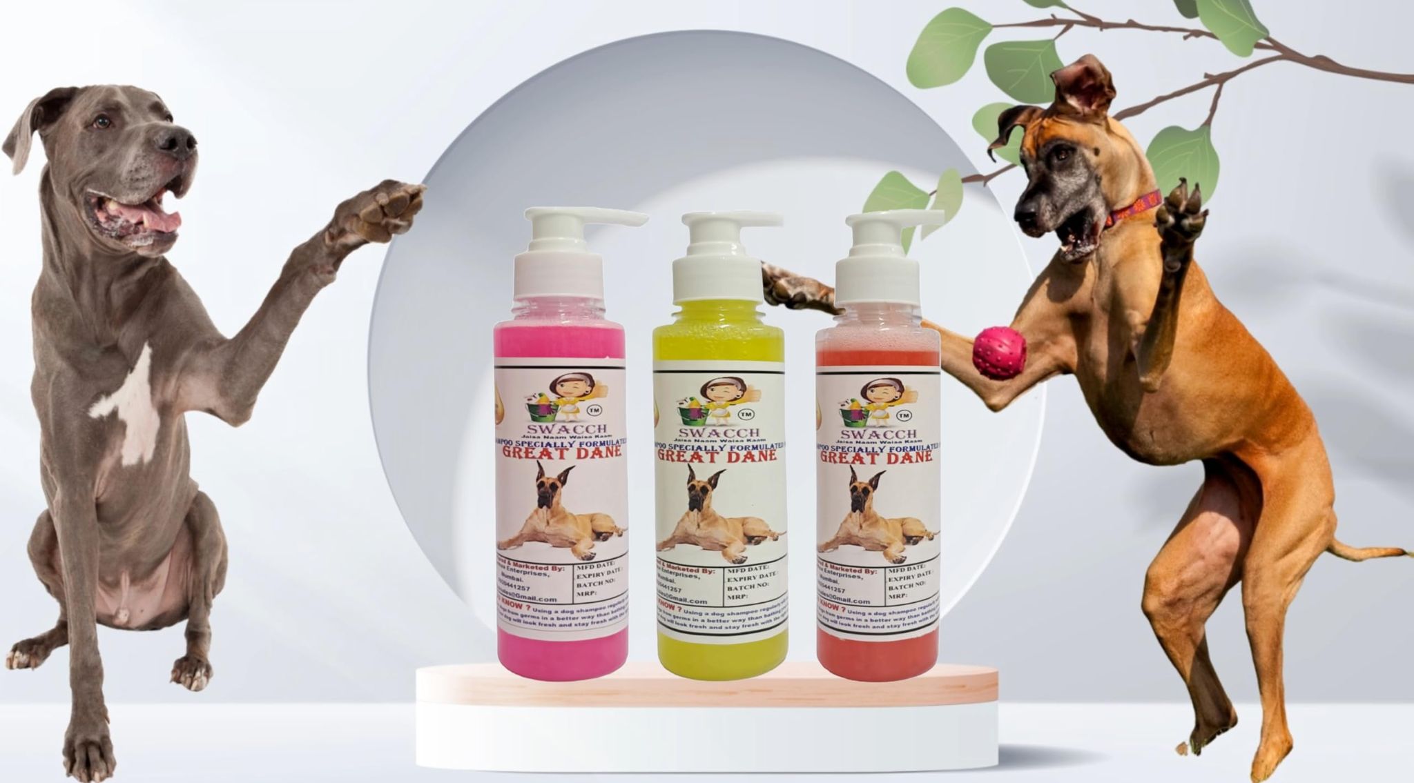 SWACCH Premium Shampoo for Great DANE (200ML) (Combo Pack of 3) Rose, Lemon & Jasmine