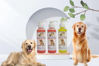 SWACCH Premium Shampoo for Golden Retriever (200ML) (Combo Pack of 3) Jasmine, Strawberry & Lemon