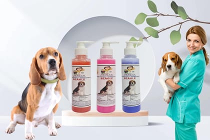SWACCH Premium Shampoo for Beagle (200ML)(Combo Pack of 3) Jasmine, Rose & Lavender