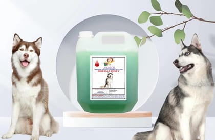 SWACCH Shampoo Specially FORMULATED for Siberian Husky (10 Litre) NEEM ALOVERA