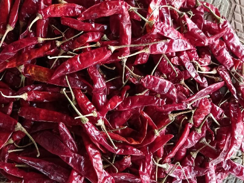 DRY CHILLI