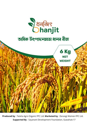 Ranjit Sub 1 Paddy Seeds