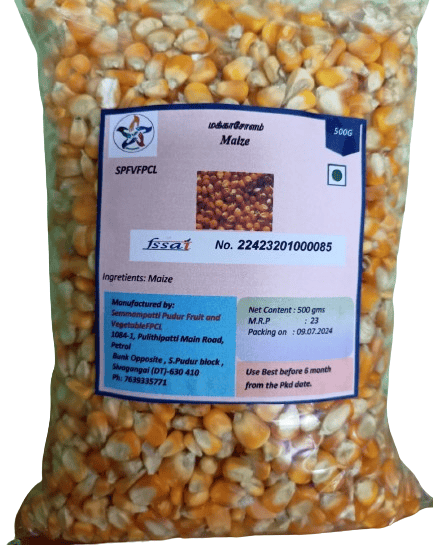 Maize kernel