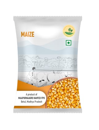 Maize