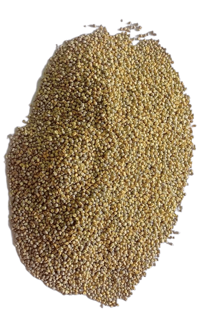 Pearl Millet