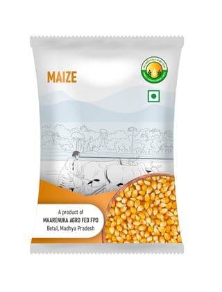 Maize