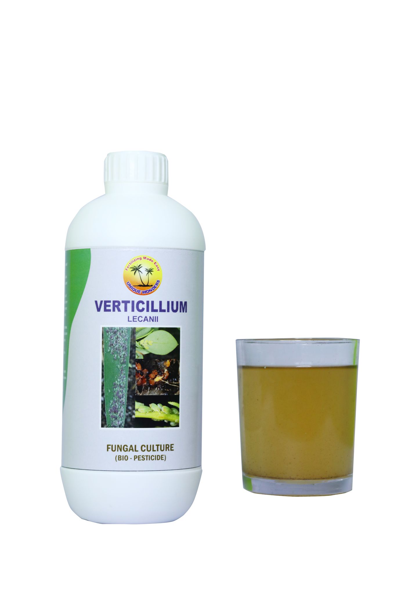 Verticillium Lecanii