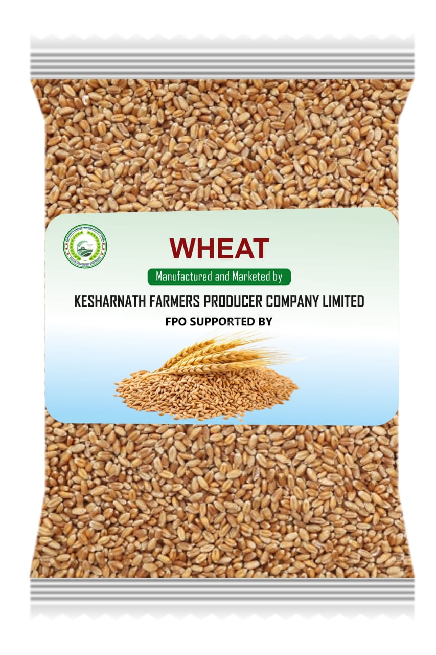 Wheat