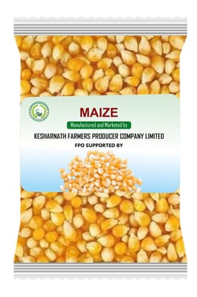 Maize