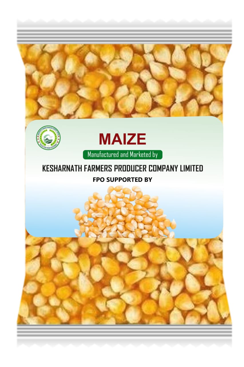 Maize