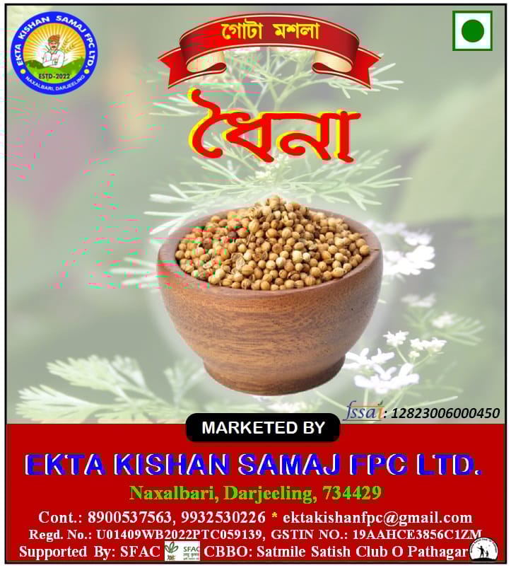 DHAINA/ CORIANDER (PACK OF 3)