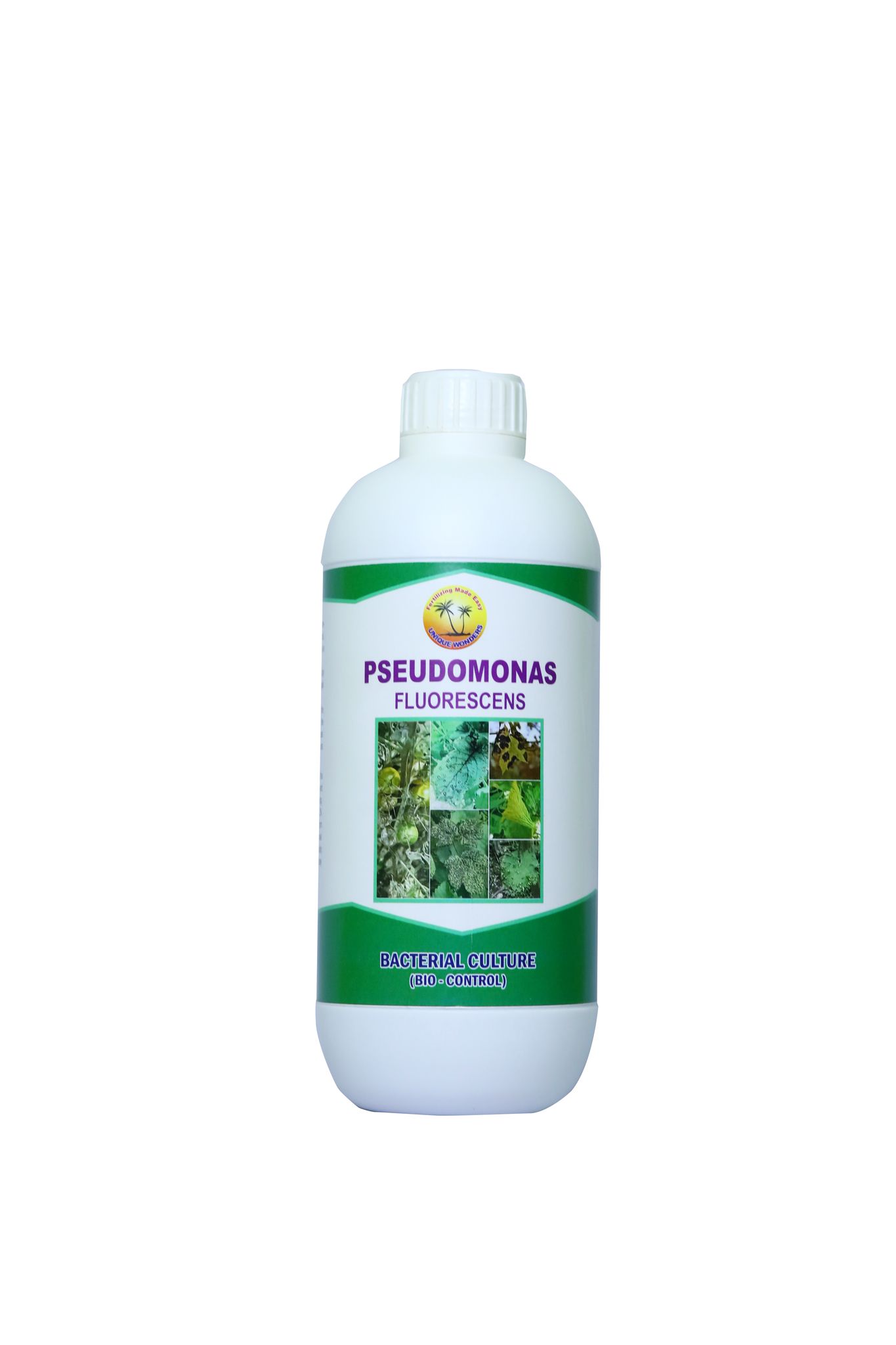 Pseudomonas fluorescens