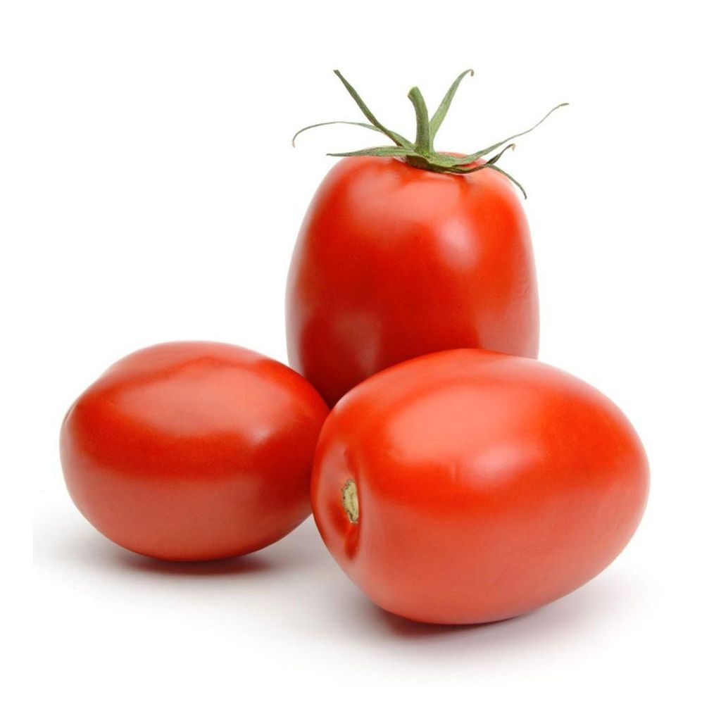 TOMATO