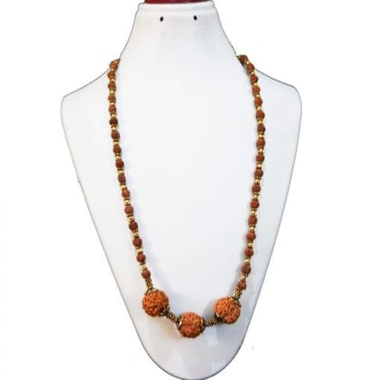 NEPALI 6 MUKHI RUDRAKSHA & INDONESIAN RUDRAKSHA BEADS NECKLACE