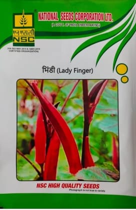 NSC BHINDI KASHI LALIMA TL SEED