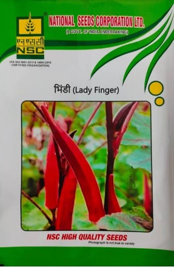 NSC BHINDI KASHI LALIMA TL SEED