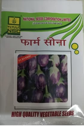 NSC Brinjal/ Kukku, 10gm