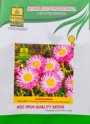 NSC Acrolinium Flower Seed -2 gm packet