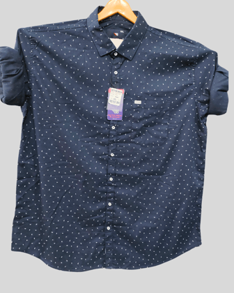 Casual Blue Printed shirt