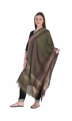 Toosh Moda Women's Embellished Beautiful Ethnic Winter Wear Shawls (Olive 60 * 180) Toosh Moda Women's Embellished Beautiful Ethnic Winter Wear Shawls (Olive 60 * 180)
