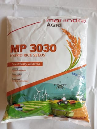 MP 3030 HYBRID RICE SEED