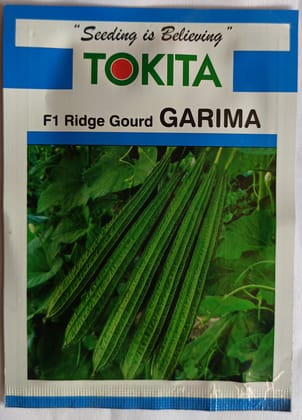 Ridge gourd seed | 10g (pack of 2)