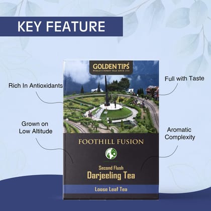 Golden Tips Foothill Fusion Loose Leaf Fine Green Tea (100gm-50 Cups)
