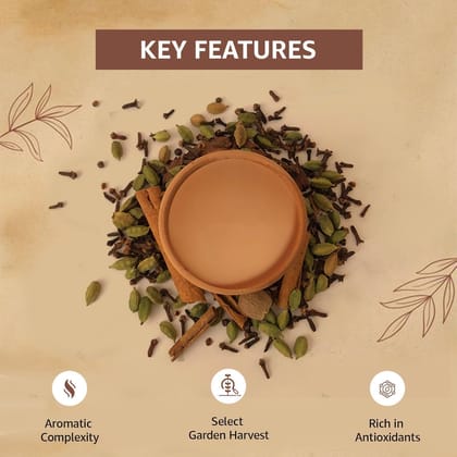 Golden Tips Full Leaf Pyramid Masala Chai Tea Bags (20 Bags, 40 Gram )