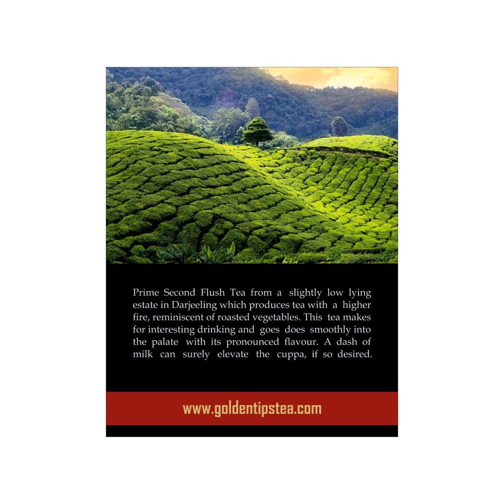 Golden Tips Summer Serenade Second Flush Darjeeling Black Tea (8.81oz - 250 gm - 125 Cups)