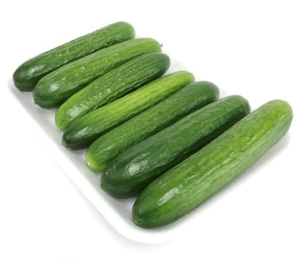 Chinese cucumber