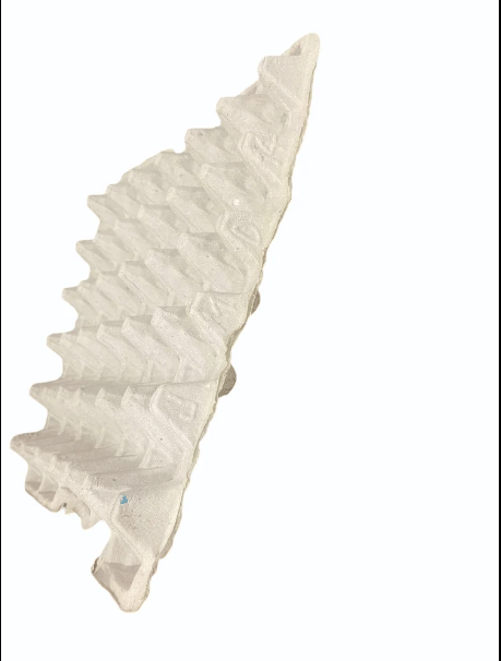 Paper Egg Tray
