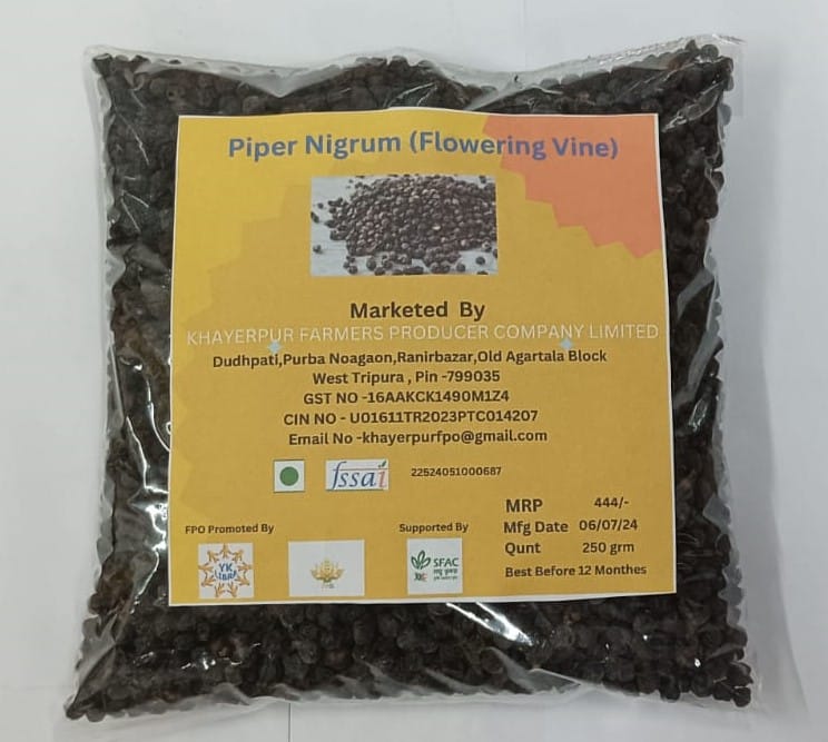 Piper Nigrum (Flowering Vine) 250 gm