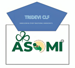 TRIDEVI CLF- HANDLOOM & OTHER TRADITIONAL HANDICRAFTS