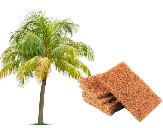 Coconut Scrubber Pad for Dish wash, Regular Scrub Pad