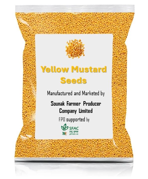 Yellow Mustard Seeds | Sarso
