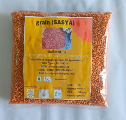 Grain (SASYA)